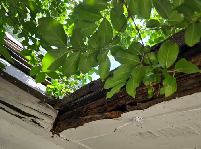 Rotted soffit and fascia board before repair